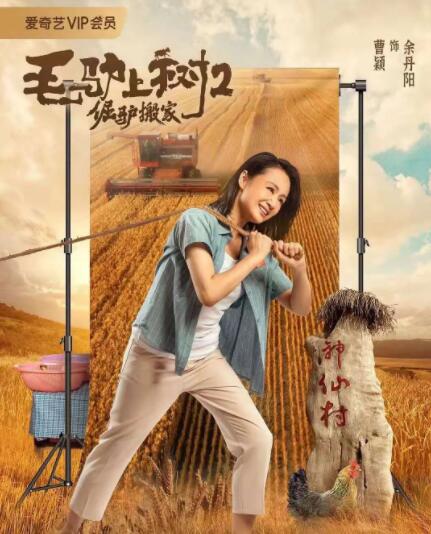 成人亚洲视频在线观看