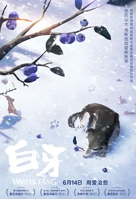 成人用品使用说明书